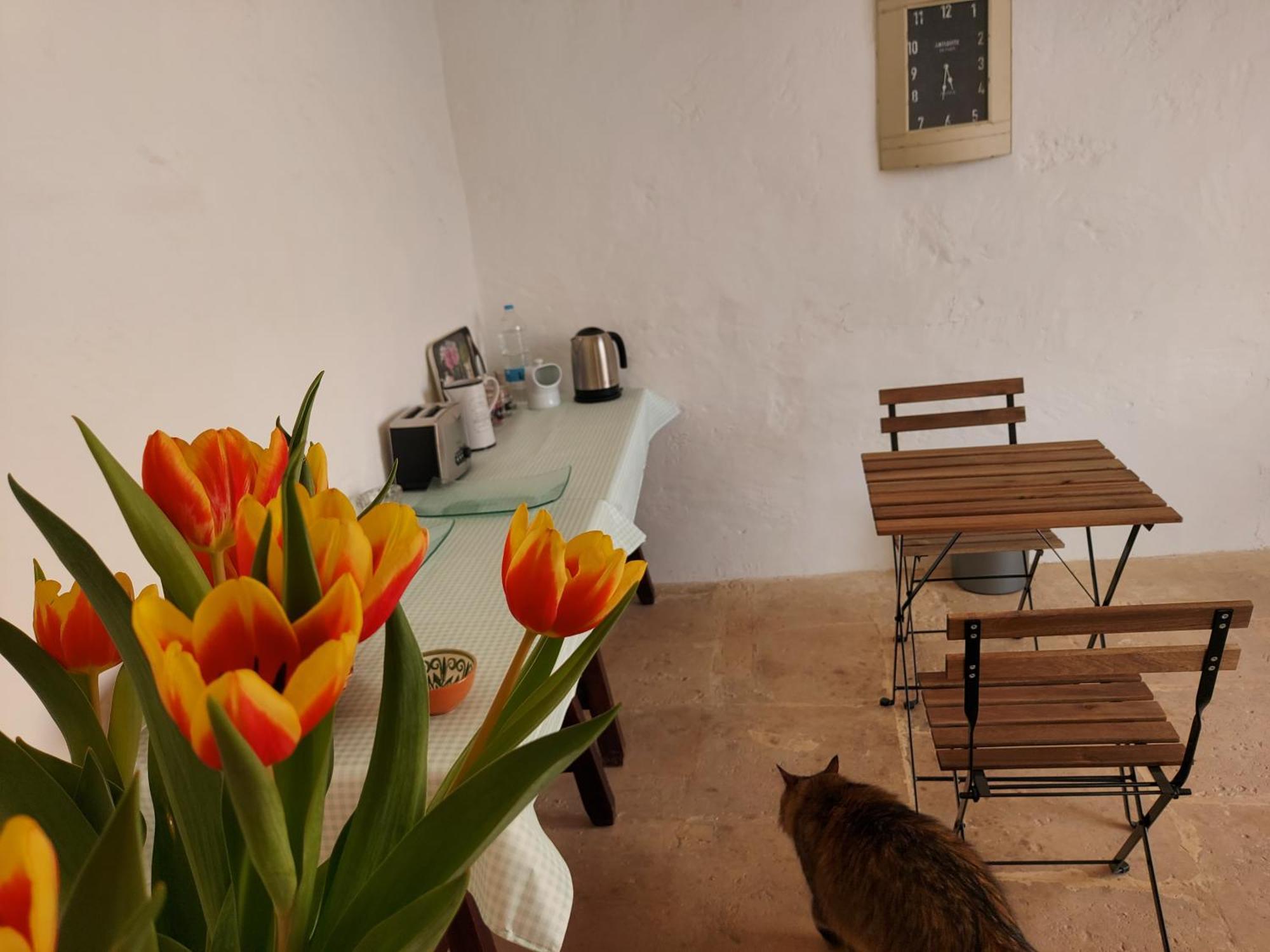 Razzett Warda B&B Ghasri  Exterior photo